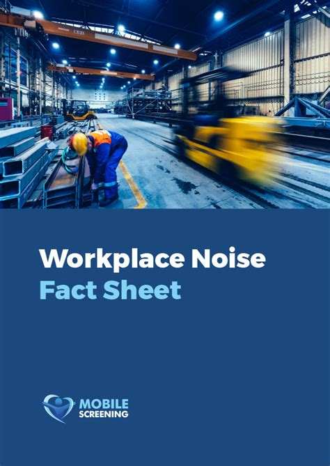 who undertakes a noise assessment